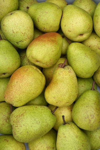 BIO Hrušky ALEXANDRE LUCAS