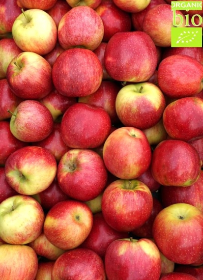 NEJLEP�� JABLKA SEZ�NY