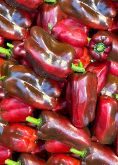BIO Paprika �erven� 'SWEET CHOCOLATE'